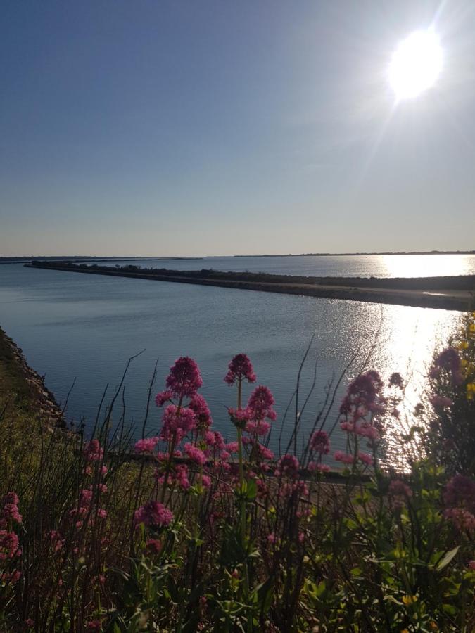 La Rose Des Sables, T2 A La Mer, Terrasse Et Garage Frontignan Exteriör bild