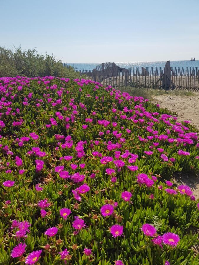 La Rose Des Sables, T2 A La Mer, Terrasse Et Garage Frontignan Exteriör bild