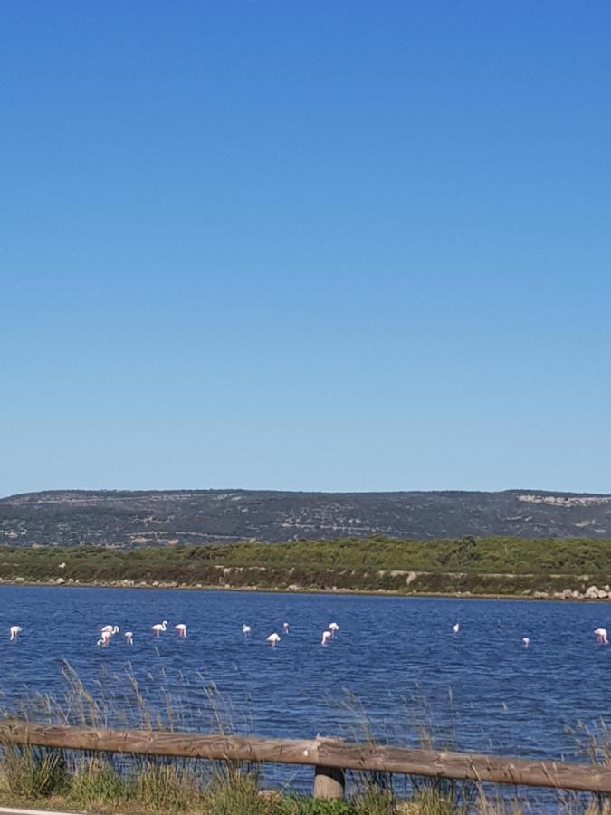 La Rose Des Sables, T2 A La Mer, Terrasse Et Garage Frontignan Exteriör bild