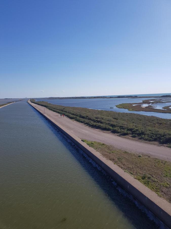 La Rose Des Sables, T2 A La Mer, Terrasse Et Garage Frontignan Exteriör bild